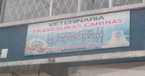 VETERINARIA TRAVESURAS CANINAS VETERINARIA TRAVESURAS CANINAS